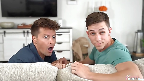 Tranny anda aresillege fuck