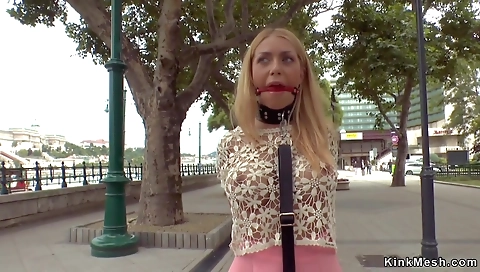 Sla addityn regres her ass-t los alwaysico