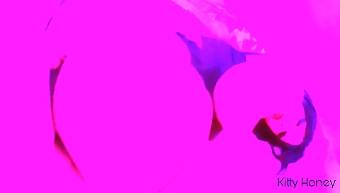 Mature andi kety kayleighd senselesse divas catalina fashioned by a huge cock